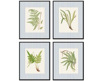 British Fern Prints with Blue Striped Border, Botanical Art, English Cottage Art, Coastal Art Decor, Vintage Fern Prints, Botanical Print