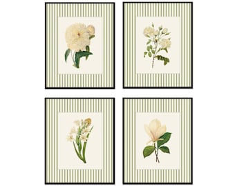 Conjunto de láminas botánicas francesas antiguas, borde de rayas verdes, impresión giclée con motivos florales blancos.