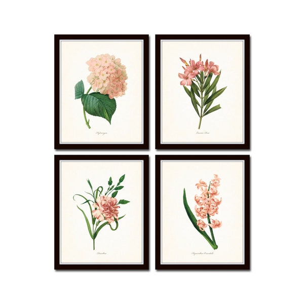 Pink Botanical Print Set No. 12, Redoute Botanical Prints, Giclee, Art Print, Botanical Print Set, Wall Art, Pink Flower Prints, Flower Art