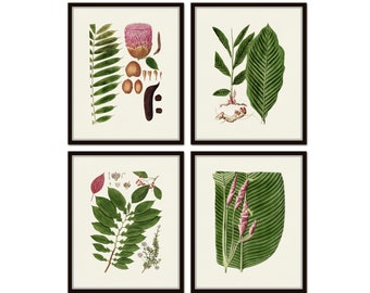 Vintage Tropical Botanical Print Set, Flower Art, Botanical Art, Botanical Print Set, Home Decor, Wall Art, Coastal Decor, Coastal Art