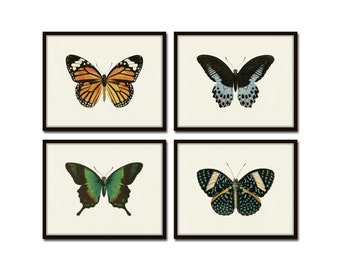 Vintage Butterfly Print Set No. 8, Botanical Prints, Insect Art, Art Prints, Wall Art, Print Set, Butterfly Prints, Insect Prints