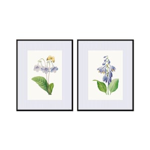 BOTANICAL ART 【import品】 Botanical Print Set No. 27, Blue Flowers, Giclee, Art Prints