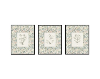 Botanical Sketch Prints with Floral Border, William Morris Pattern, Vintage Botanical Art, Grandmillennial Art, Set of 3, Vintage Sketch Art