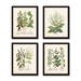 Antique Herbs Print Set No. 29, Herb Prints, Botanical Prints, Botanical Art, Botanical Print Set, Kitchen Art, Giclee, Art Prints, Herbs 