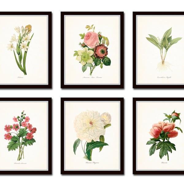 Botanical Garden Print Set No. 21, French Botanical Prints, Giclee, Art Prints, Antique Botanical Prints, Flower Prints, Wall Art, Print Set