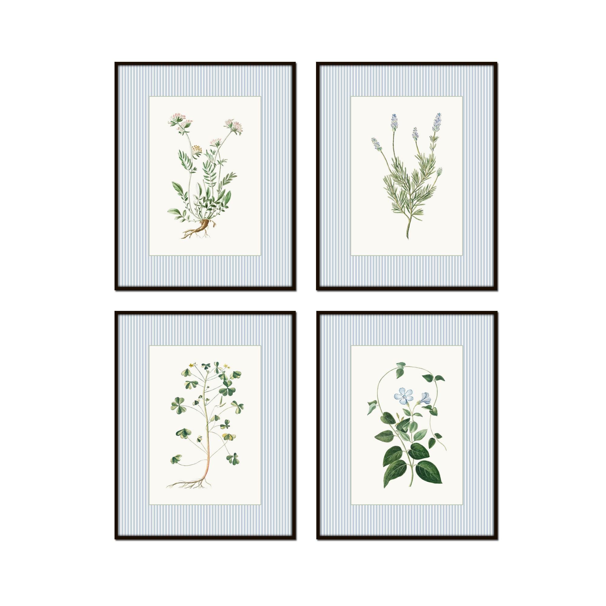 Antique Botanical Collage Print Set, Italian Botanical Art, Home Decor, Wall Art, Blue and White, Coastal Art, Grandmillennial, Chinoiserie