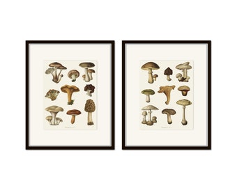 Vintage French Mushrooms Print Set No. 6, Mushroom Prints, Vegetable Art, Kitchen Decor, Art Prints, Wall Art, Kitchen Art