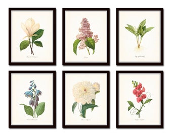 Botanical Garden Print Set No. 17, Redoute Botanical Prints, Giclee, Art Print, Antique Botanical Prints, Flower Prints, Wall Art, Print Set