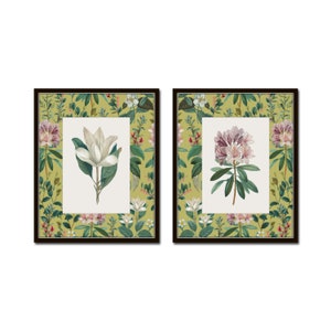 Vintage Magnolia and Rhododendron, Botanical Collage Print Set No. 3, Botanical Art, Vintage Magnolia Prints, Wall Art, Southern Art