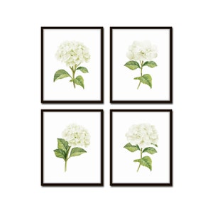 White Watercolor Hydrangea Print Set No. 1, Giclee, Botanical Print Set, Hydrangea Print Set, Watercolor Flower Prints, White Flower Prints image 1