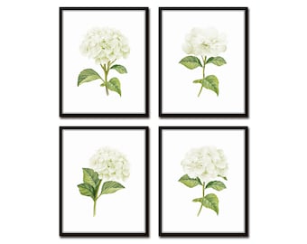 White Watercolor Hydrangea Print Set No. 1, Giclee, Botanical Print Set, Hydrangea Print Set, Watercolor Flower Prints, White Flower Print