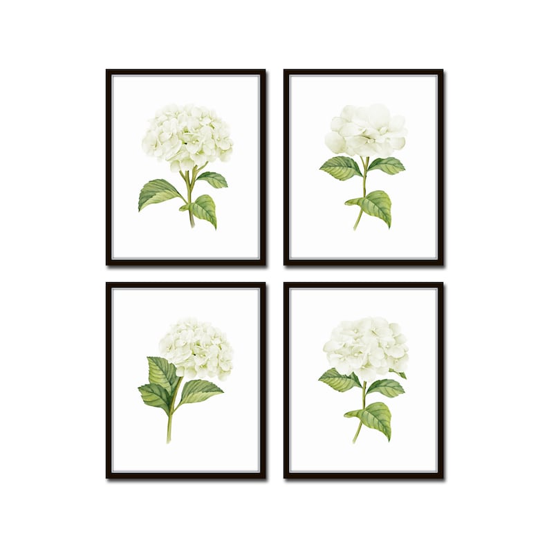 White Watercolor Hydrangea Print Set No. 1, Giclee, Botanical Print Set, Hydrangea Print Set, Watercolor Flower Prints, White Flower Prints image 1