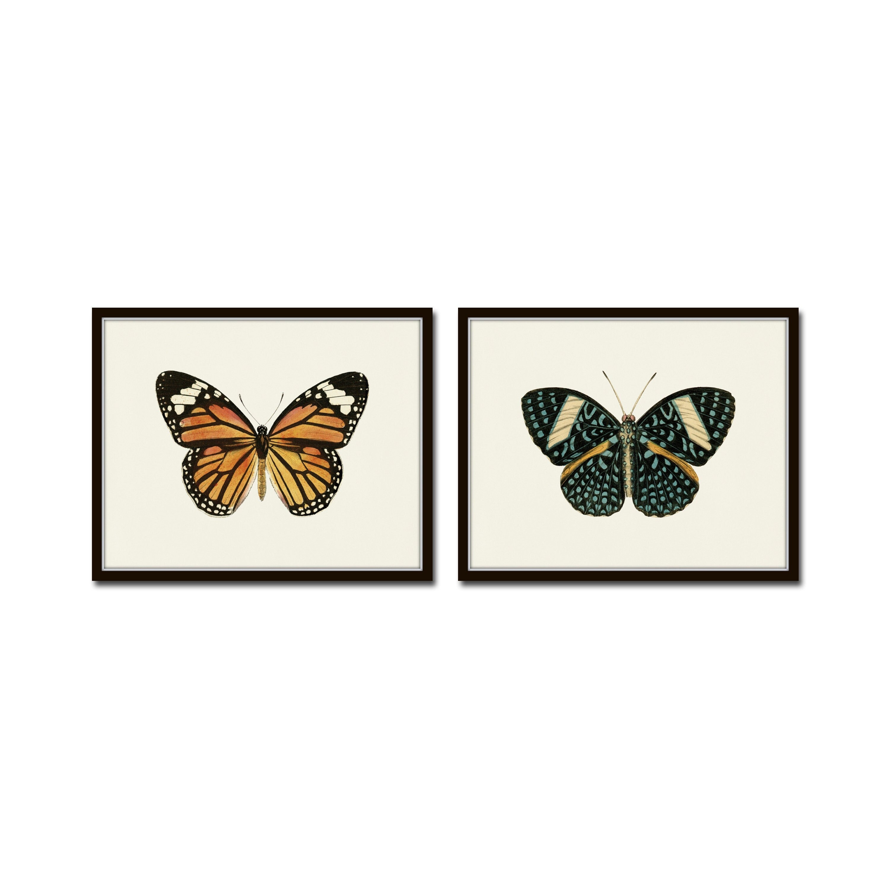 Vintage Butterfly Print Set No. 5, Butterfly Art Prints, Insect Art ...