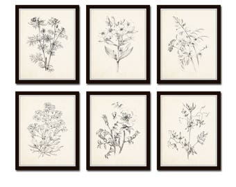 Vintage Botanical Sketch Prints Set No. 1, Botanical Prints, Giclee, Art Print, Vintage Botanical Art, Flower Art, Flower Sketch Art Prints