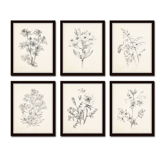 Set Flower No. Art Etsy - Prints, Flower Vintage Sketch Print, Prints, Art Botanicals, Vintage Prints Botanical 1, Botanical Illustration, Giclee,