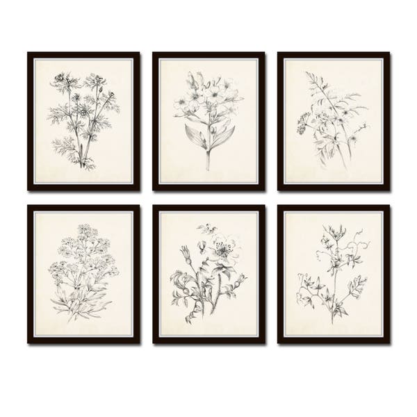 Vintage Botanical Sketch Prints Set No. 1, Botanical Prints, Giclee, Art Print, Vintage Botanical Art, Flower Art, Flower Sketch Art Prints