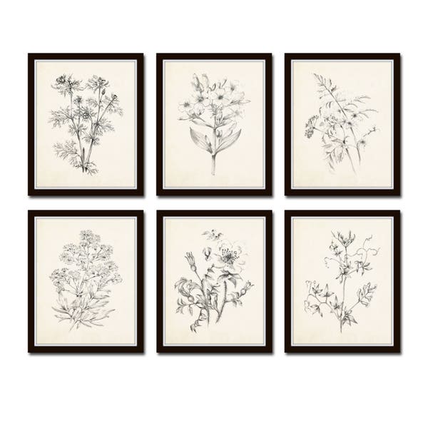 Vintage Botanical Sketch Prints Set No. 1, Botanical Prints, Giclee, Art Print, Vintage  Botanicals, Illustration, Flower Prints, Flower Art