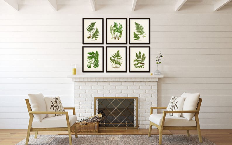 Vintage Ferns Print Set No. 26, Giclee, Botanical Art, Botanical Print Set, Vintage Fern Prints, Wall Decor Living Room, Wall Art image 6