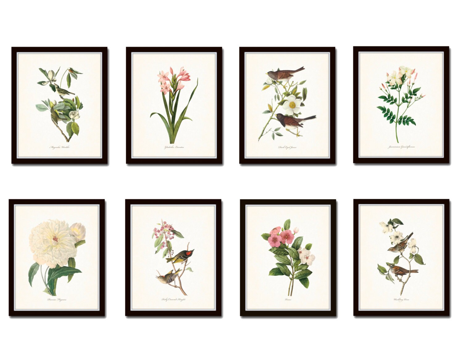 Botanical Print Flower Botanicals Print Set Vintage Botanicals Flower Wall Art Prints Botanical Prints Japanese Flower Illustrations