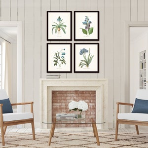 Blue Botanical Print Set No. 7 Redoute Botanical Prints Art Giclee ...