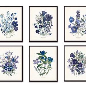 Juego de impresiones Fleurs de Jardin n.º 6, impresiones botánicas antiguas, Giclée, decoración del hogar, arte mural, impresiones botánicas antiguas, arte floral azul y morado