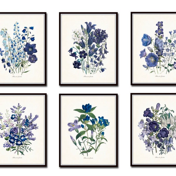 Fleurs de Jardin Print Set No. 6, Botanical Prints, Giclee,Art Print, Antique Botanical Prints, Wall Art,Illustration, Blue, Purple, Flowers