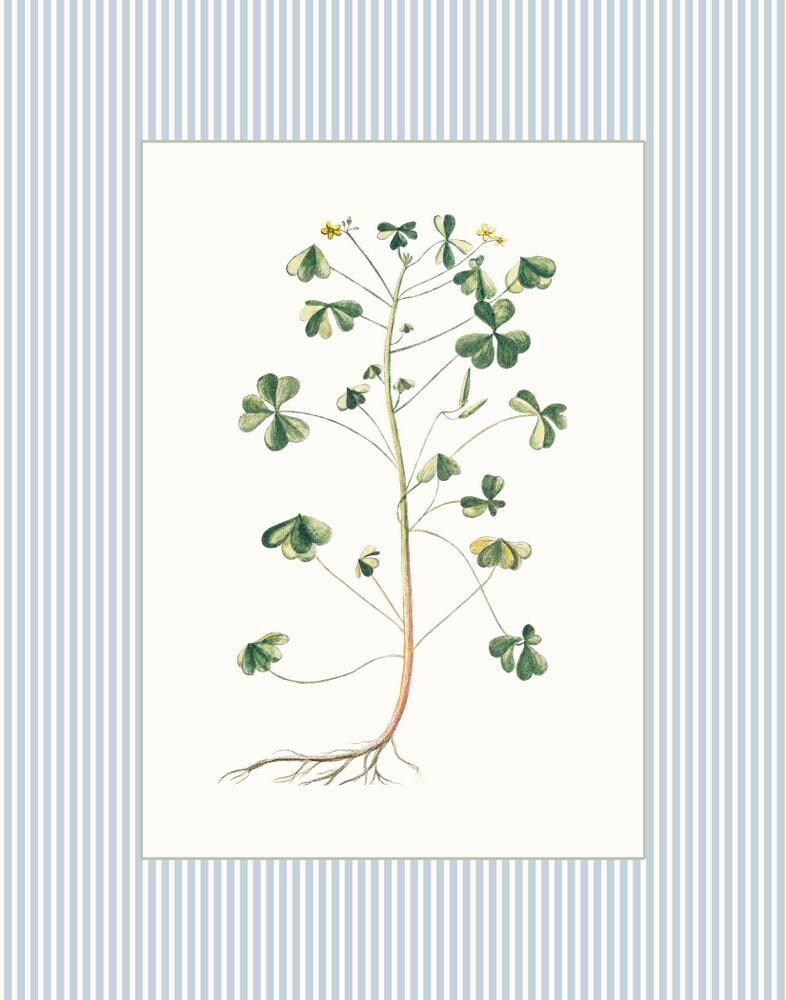 Antique Botanical Collage Print Set, Italian Botanical Art, Home Decor ...