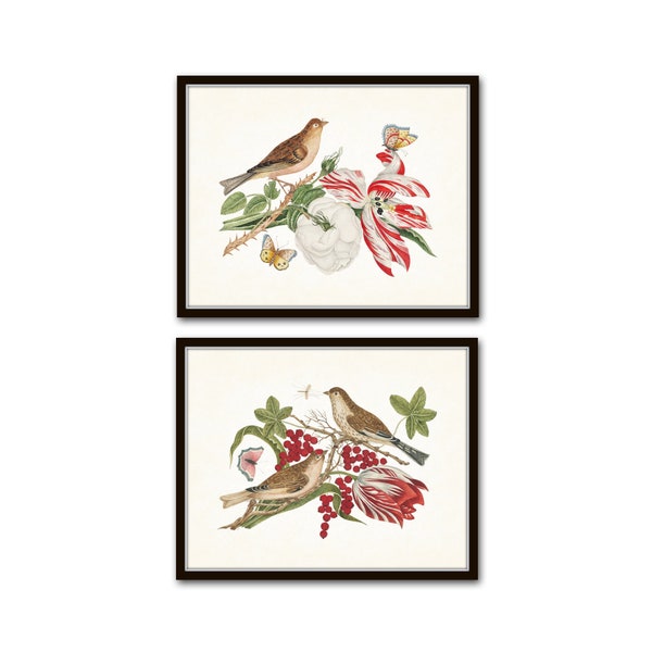 Birds and Blooms Print Set No. 2, Bird and Botanical Print Set, Botanical Prints, Vintage Bird Prints, Chinoiserie Art
