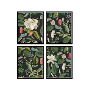 Vintage Magnolia Botanical Collage on Black, Vintage Botanical Art, Botanical Art, Magnolia Prints, Southern Art, Giclee, Art Prints