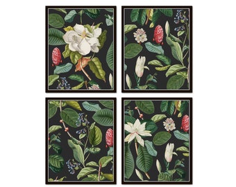 Vintage Magnolia Botanical Collage on Black, Botanical Prints, Botanical Art, Magnolia Prints, Botanical Print Set, Giclee, Art Prints