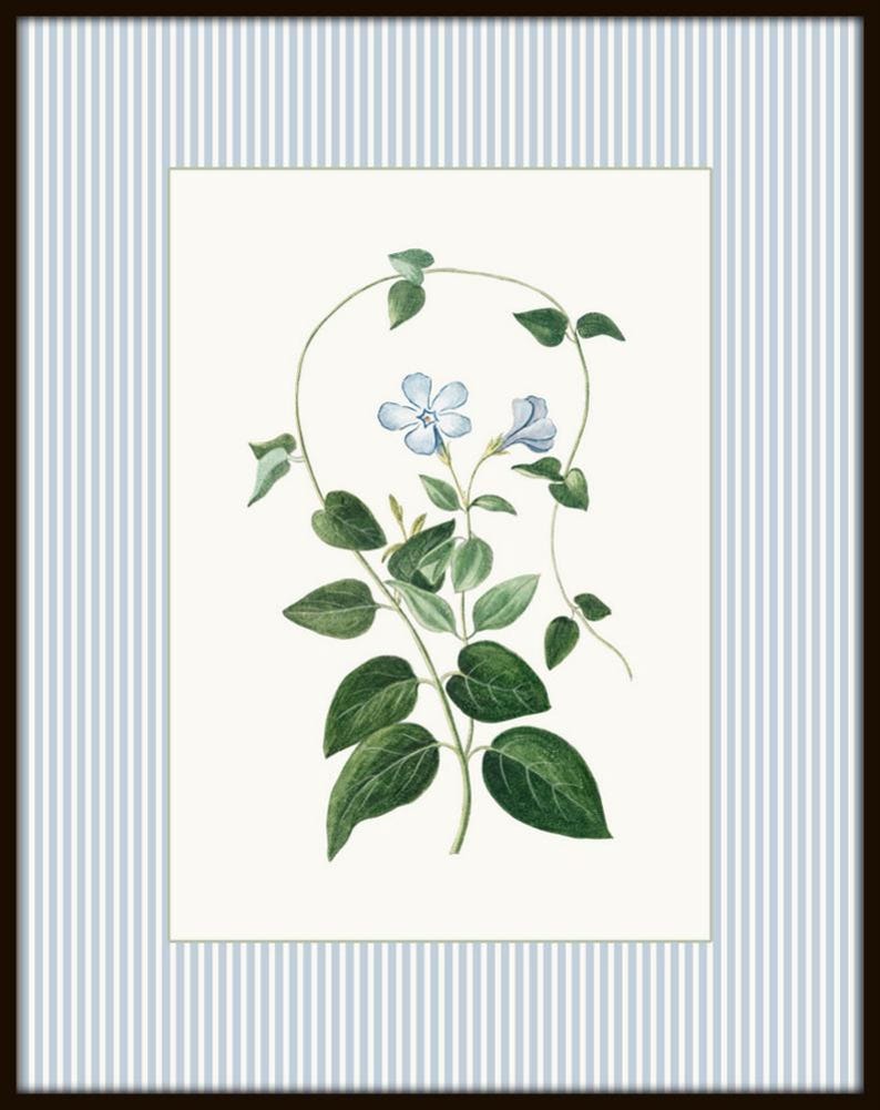 Antique Botanical Collage Print Set, Italian Botanical Art, Home Decor ...