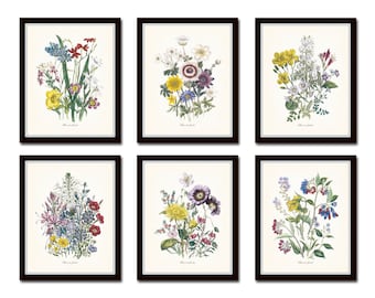 Fleurs de Jardin Print Set No. 15, Botanical, Print Set, Wall Art, Giclee, Vintage Botanical, Collage, Illustration, Wildflower Prints