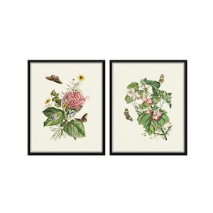 Butterflies and Botanicals Set, Botanical Print Set, Buttefly Prints, Giclee, Vintage Botanical Art, Wall Art, Home Decor
