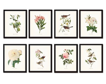 Bird and Botanical Print Set No. 1, Redoute Botanical Prints, Audubon Birds, Giclee, Art Print, Botanical Prints, Vintage Bird Prints