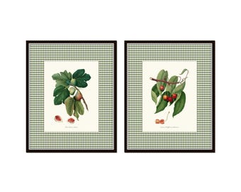 Vintage Fruit Collage Print Set No.2, Vintage Botanical Art, Kitchen Wall Decor, Preppy Art Prints, Kitchen Art, Home Decor, Wall Art
