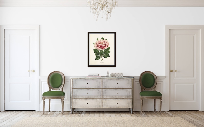 May include: A framed botanical illustration of a pink peony flower with green leaves. The illustration is displayed on a white wall above a dresser with two green chairs.