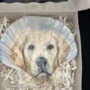 以下が含まれることがあります： クリーム、ライトブラウン、ダークブラウンの、まだら模様のマット仕上げのセラミックマグ3個セット。各マグはシンプルでミニマリストなデザインで、コーヒーや紅茶に最適です。