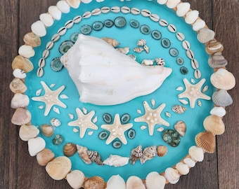 Muchas conchas preciosas, listas para colgar o exhibir en un caballete.