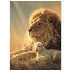 Op de afbeelding: Een majestueuze volwassen leeuw met dikke, goudbruine manen rust in hoog gras, direct achter een klein, wit, pluizig lammetje dat op de voorgrond ligt in het zachte, warme, gouden zonlicht.
