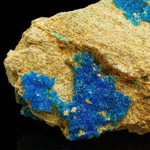 May include: A close-up of a rock formation with vibrant blue crystalline structures. The rock has a tan and brown color, with patches of bright blue crystals clustered across its surface. The background is black.
