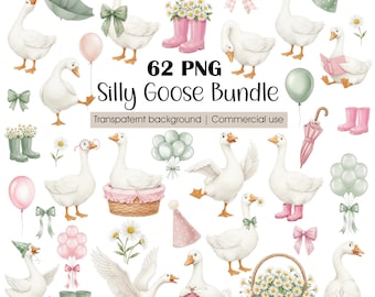 Silly Goose Clipart Bundle, Cottagecore Birthday PNG Set