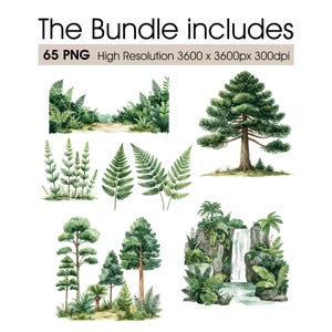 May include: A digital collection of 65 PNG files featuring watercolor illustrations of forest elements. The set includes various green ferns, tall pine trees, dense woodland landscapes, and a rocky waterfall scene with lush tropical foliage.