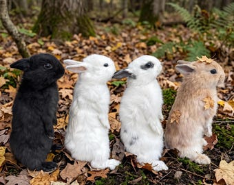 Real Rabbit Taxidermy Collection, 11" Standing Bunny Specimen, 4 Colors, Cottagecore Woodland Decor, Curiosity Cabinet Oddities,
