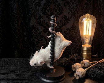 Pole Dancing Mouse Taxidermy, Funny Stripper Mouse Specimen, Rogue Taxidermy Gag Gift, Weird Goth Decor, Curiosity Cabinet Oddity Art