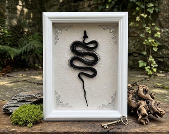 Snake Bone Shadow Box, Real Snake Skeleton Art, Dark Academia Decor, Gothic Home Decoration, Nature Specimen Gift