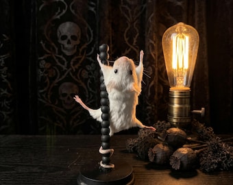 Pole Dancing Mouse Taxidermy, The Night Dancer Specimen, Funny Gag Gift, Rogue Taxidermy Oddity, Curiosity Cabinet, Macabre Gothic Decor