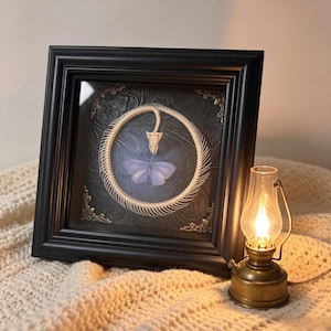 Real Snake Skeleton & Butterfly Framed Art, Ouroboros Bone Specimen, Gothic Room Decor, Macabre Oddities, Witchy Gift, 5.5"x5.5" (14x14cm)