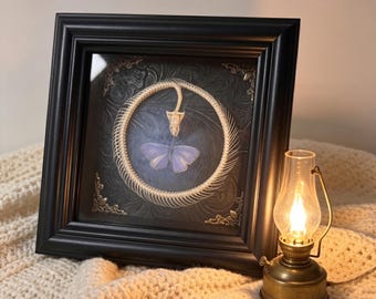 Real Snake Skeleton & Butterfly Framed Art, Ouroboros Bone Specimen, Gothic Room Decor, Macabre Oddities, Witchy Gift, 5.5"x5.5" (14x14cm)