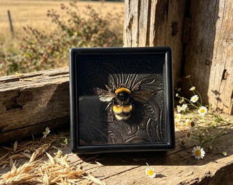 Real Bumblebee Taxidermy Frame, 2 Styles, Framed Bee Specimen, Entomology Bug Art, Cottagecore Decor, Dark Academia Oddities