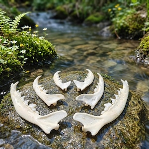 Può includere: Un set di tre tazze in ceramica con finitura opaca e macchiettata. Le tazze sono nei toni del crema, grigio chiaro e grigio scuro. Ogni tazza ha un design semplice e minimalista.